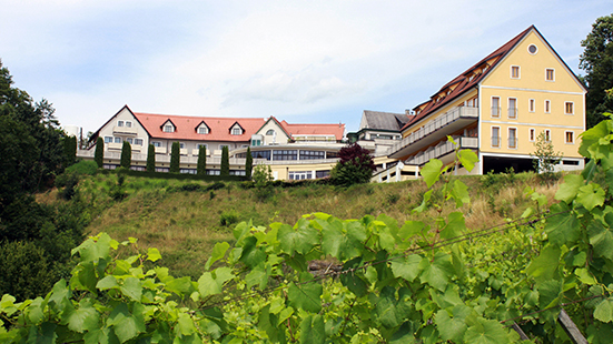 Hotel und Restaurant Hasenwirt – Außenansicht mit Weingarten